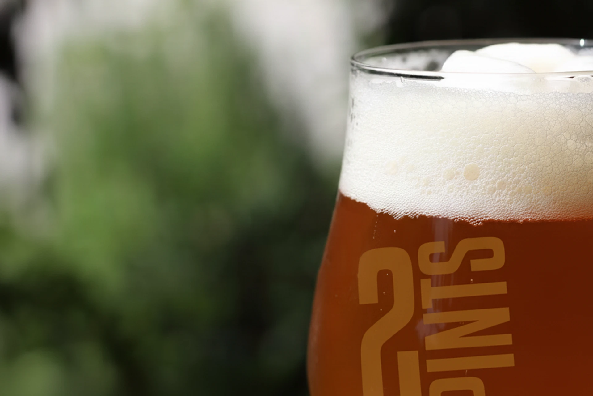 The Unsung Star of Beer: Why Yeast Deserves All the Credit